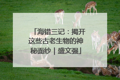 海错三记：揭开这些古老生物的神秘面纱｜盛文强