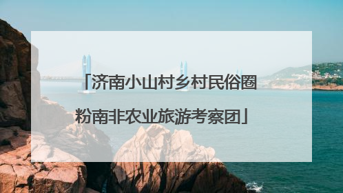 济南小山村乡村民俗圈粉南非农业旅游考察团