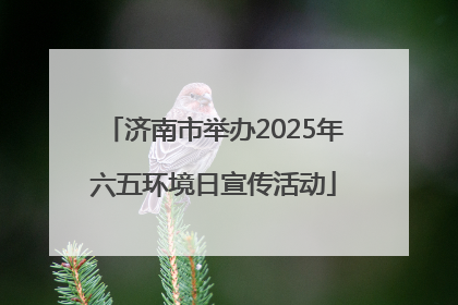 济南市举办2025年六五环境日宣传活动