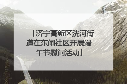 济宁高新区洸河街道在东闸社区开展端午节慰问活动