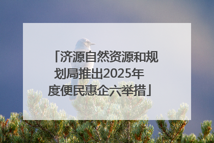 济源自然资源和规划局推出2025年度便民惠企六举措