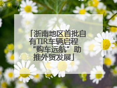 浙南地区首批自有TIR车辆启程 “购车远航”助推外贸发展