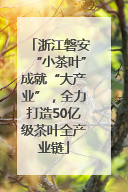 浙江磐安“小茶叶”成就“大产业”，全力打造50亿级茶叶全产业链