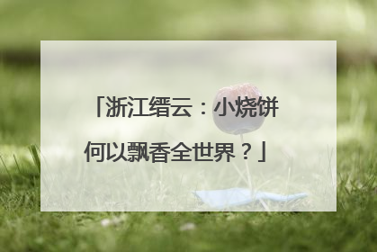 浙江缙云：小烧饼何以飘香全世界？