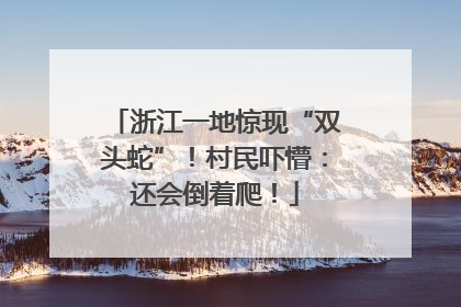 浙江一地惊现“双头蛇”！村民吓懵：还会倒着爬！