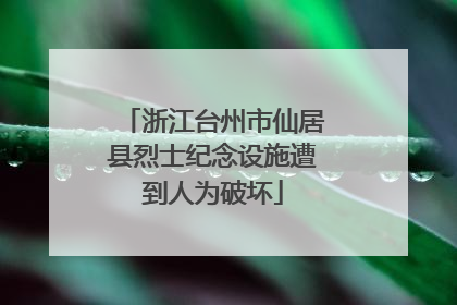 浙江台州市仙居县烈士纪念设施遭到人为破坏