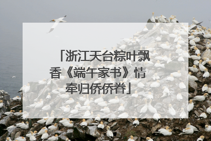 浙江天台粽叶飘香《端午家书》情牵归侨侨眷