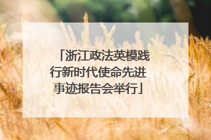 浙江政法英模践行新时代使命先进事迹报告会举行