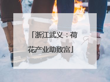 浙江武义：荷花产业助致富