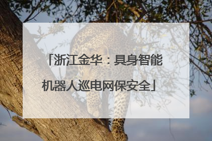 浙江金华：具身智能机器人巡电网保安全
