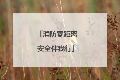 消防零距离 安全伴我行