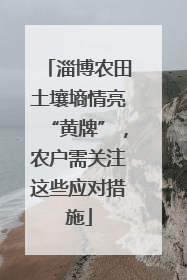 淄博农田土壤墒情亮“黄牌”，农户需关注这些应对措施
