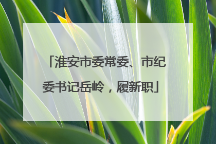 淮安市委常委、市纪委书记岳岭，履新职