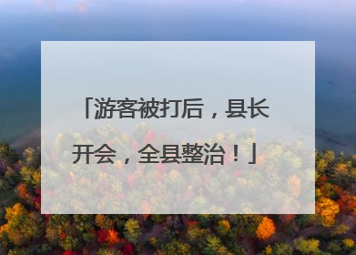 游客被打后，县长开会，全县整治！