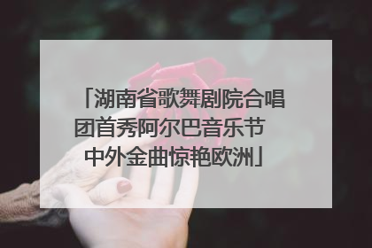 湖南省歌舞剧院合唱团首秀阿尔巴音乐节 中外金曲惊艳欧洲