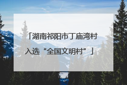 湖南祁阳市丁庙湾村入选“全国文明村”