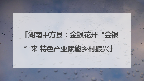 湖南中方县：金银花开“金银”来 特色产业赋能乡村振兴