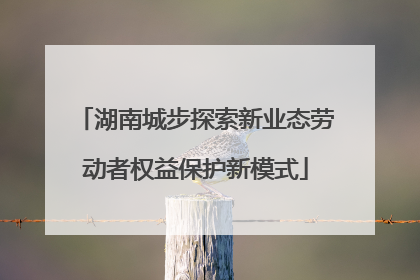 湖南城步探索新业态劳动者权益保护新模式