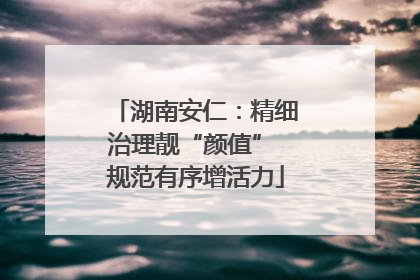 湖南安仁：精细治理靓“颜值” 规范有序增活力