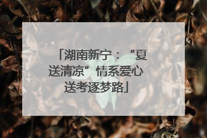 湖南新宁：“夏送清凉”情系爱心送考逐梦路