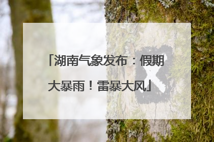 湖南气象发布：假期大暴雨！雷暴大风