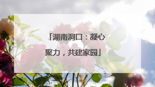 湖南洞口：凝心聚力，共建家园