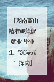 湖南蓝山精准施策促就业 毕业生“沉浸式”探岗