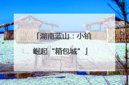 湖南蓝山：小镇崛起“箱包城”