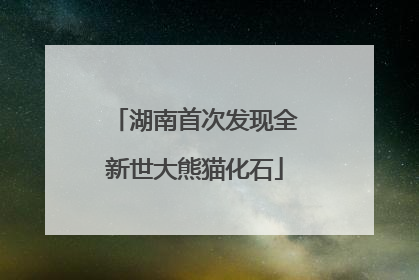 湖南首次发现全新世大熊猫化石