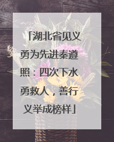 湖北省见义勇为先进秦遵照：四次下水勇救人，善行义举成榜样