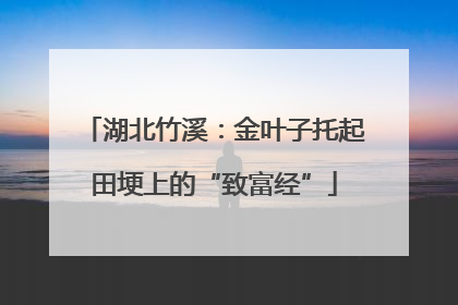 湖北竹溪：金叶子托起田埂上的“致富经”