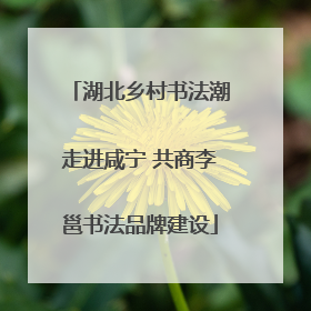 湖北乡村书法潮走进咸宁 共商李邕书法品牌建设