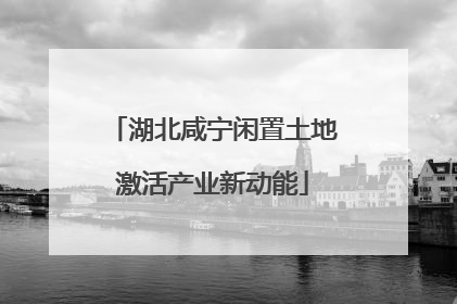 湖北咸宁闲置土地激活产业新动能