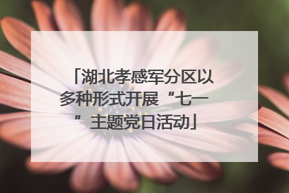 湖北孝感军分区以多种形式开展“七一”主题党日活动
