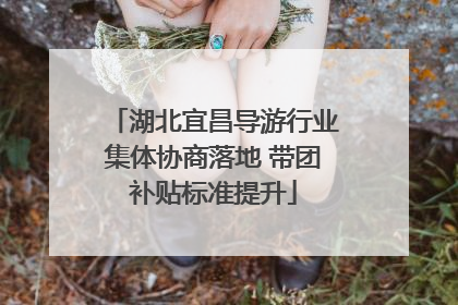 湖北宜昌导游行业集体协商落地 带团补贴标准提升