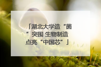 湖北大学造“菌”突围 生物制造点亮“中国芯”