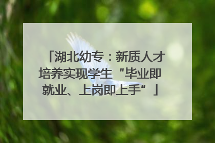 湖北幼专：新质人才培养实现学生“毕业即就业、上岗即上手”