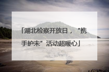 湖北检察开放日，“携手护未”活动超暖心