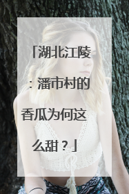 湖北江陵：潘市村的香瓜为何这么甜？