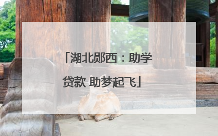 湖北郧西：助学贷款 助梦起飞