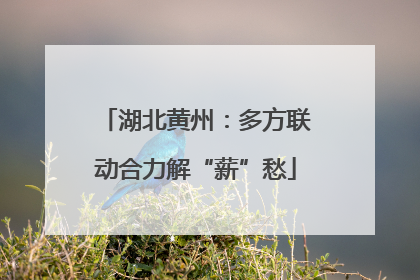 湖北黄州：多方联动合力解“薪”愁