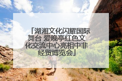 湖湘文化闪耀国际舞台 爱晚亭红色文化交流中心亮相中非经贸博览会
