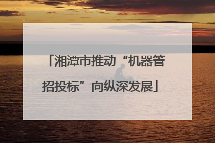 湘潭市推动“机器管招投标”向纵深发展