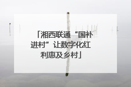 湘西联通“国补进村”让数字化红利惠及乡村