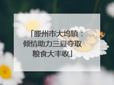 滕州市大坞镇：倾情助力三夏夺取粮食大丰收