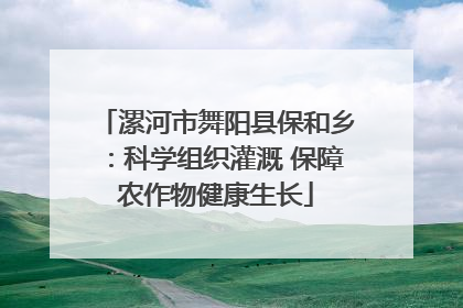 漯河市舞阳县保和乡：科学组织灌溉 保障农作物健康生长