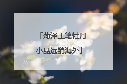 菏泽工笔牡丹小品远销海外