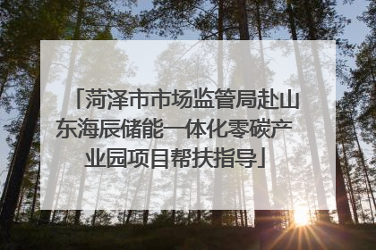菏泽市市场监管局赴山东海辰储能一体化零碳产业园项目帮扶指导