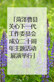 菏泽曹县关心下一代工作委员会成立二十周年主题活动展演举行