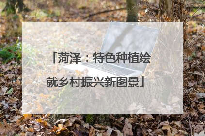 菏泽：特色种植绘就乡村振兴新图景